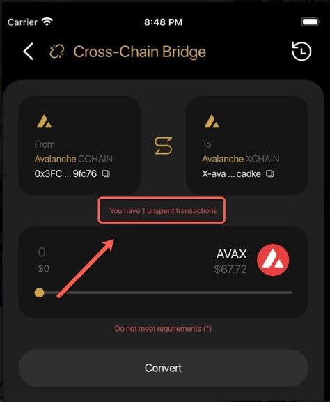 Cross chain, Avalanche (AVAX), Rekt
